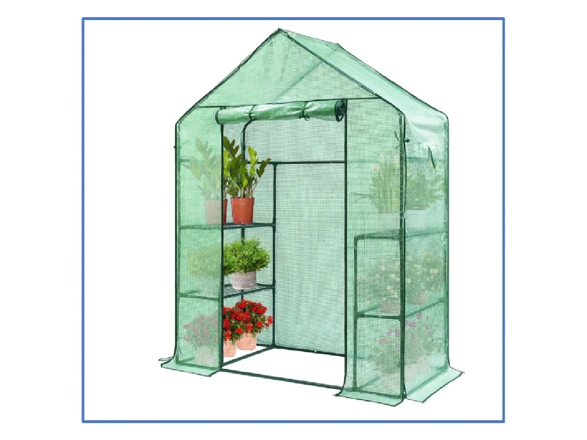 Green House – YFG413